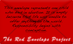 Red Envelope Project