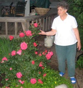 My mother-in-law has a creative touch. God made these flowers, but she has tended them well!